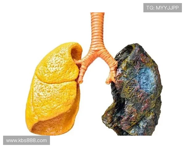 足球明星吸烟现象调查揭示健康隐患与职业形象的矛盾关系